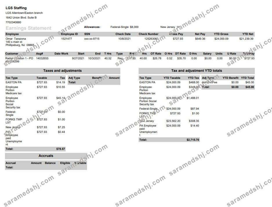 LGS Staffing pay stub in PDF and Word format